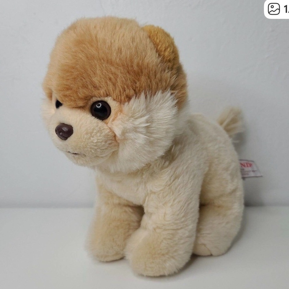 Gund Boo The Worlds Cutest Dog Plush Pomeranian Stuffed Animal Puppy 9”